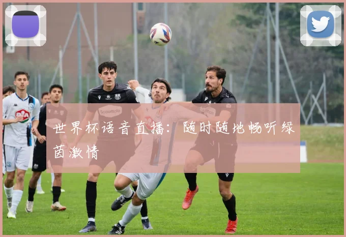 世界杯语音直播：随时随地畅听绿茵激情