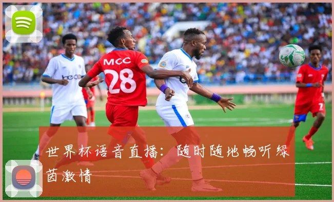世界杯语音直播：随时随地畅听绿茵激情