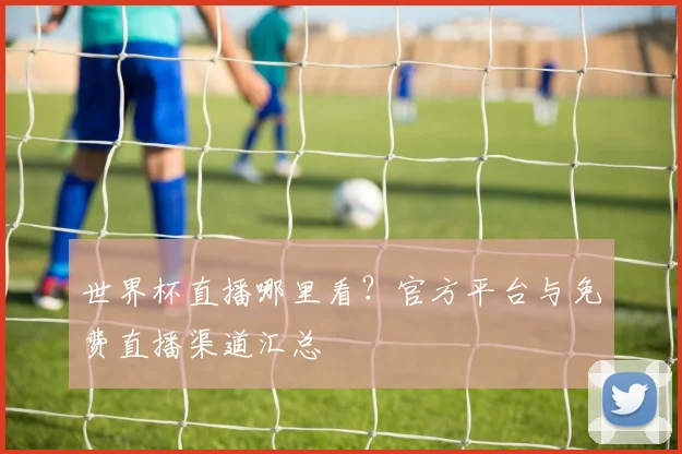 世界杯直播哪里看？官方平台与免费直播渠道汇总