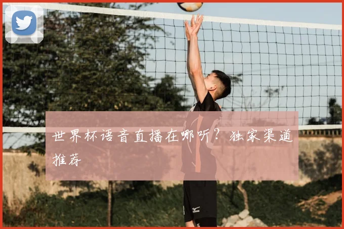 世界杯语音直播在哪听？独家渠道推荐