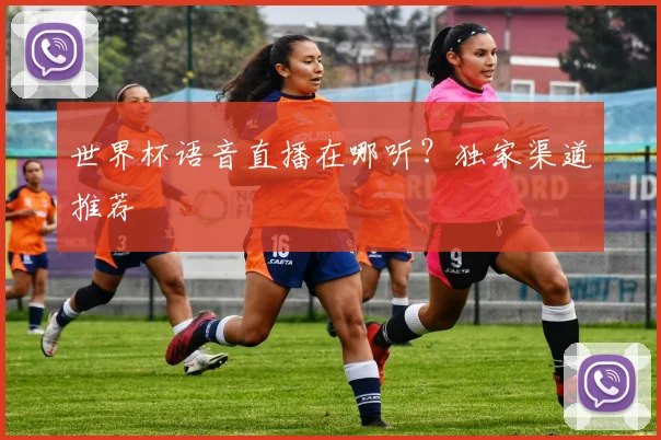 世界杯语音直播在哪听?独家渠道推荐