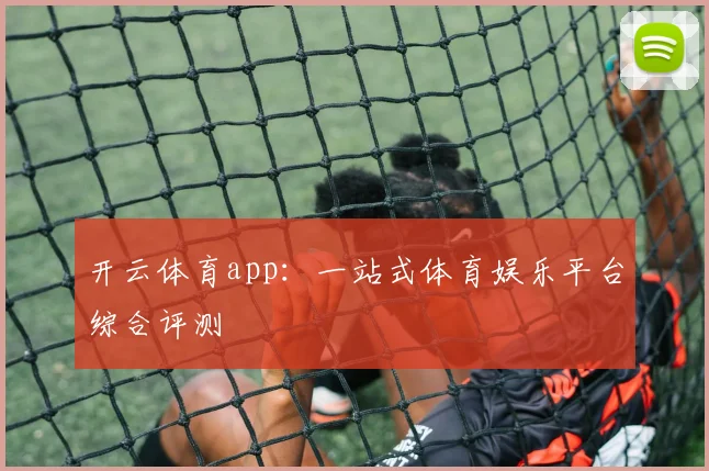 开云体育app：一站式体育娱乐平台综合评测